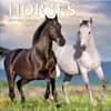 image Horses Photo 2025 Wall Calendar