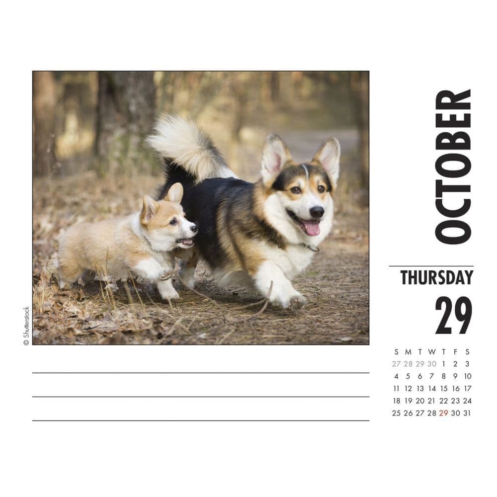 Just Desk Calendar