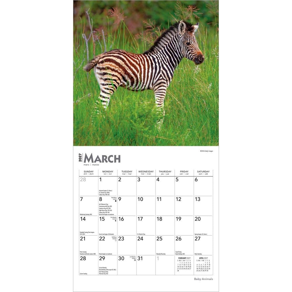 Baby Animals 2027 Mini Wall Calendar Second Alternate Image