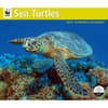 image Sea Turtles WWF 2025 Wall Calendar Main Image