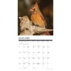 image Cardinals 2025 Wall Calendar
