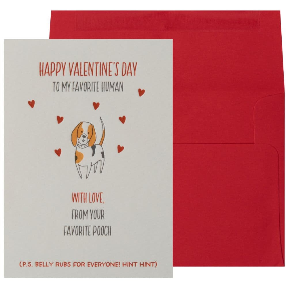 From Your Favorite Pooch Valentine's Day Card Main Product Image width="1000" height="1000"