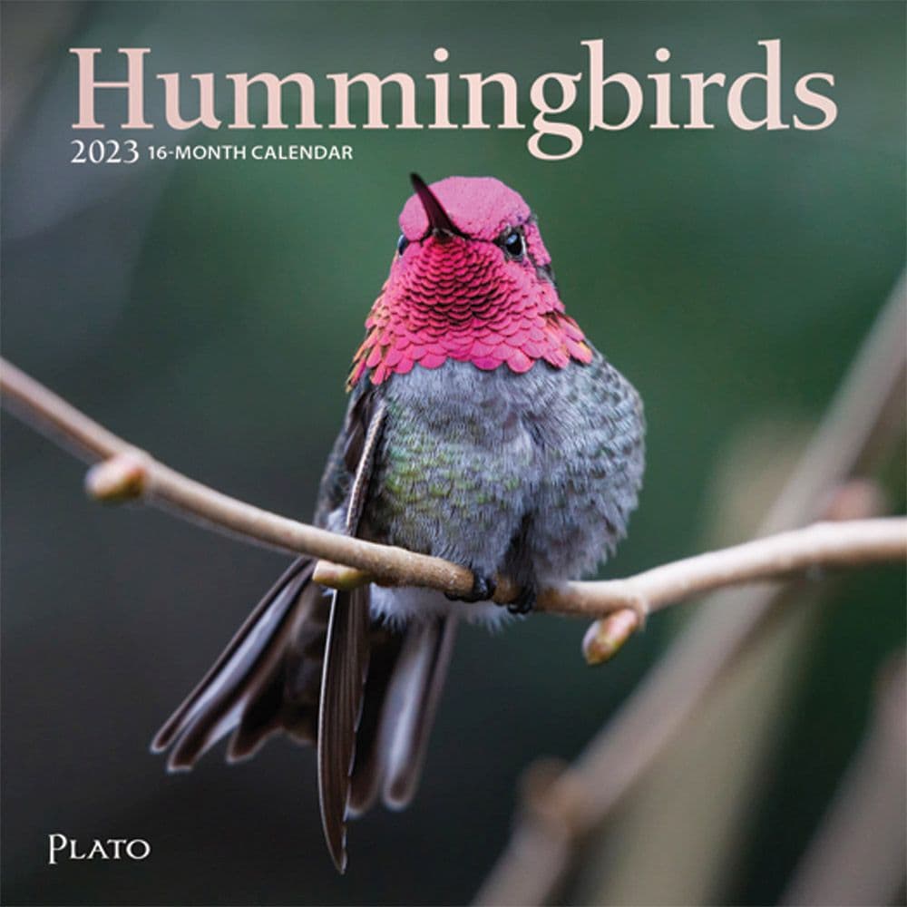 Hummingbirds Plato 2023 Mini Wall Calendar by BrownTrout Calendars