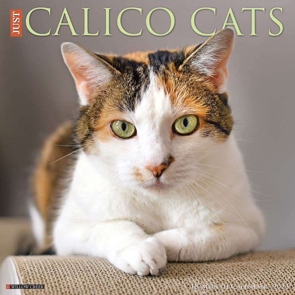 Willow Creek Press Calico Cats 2023 Wall Calendar