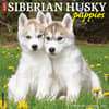 image Just Siberian Husky Puppies 2025 Wall Calendar Main Product Image width=&quot;1000&quot; height=&quot;1000&quot;