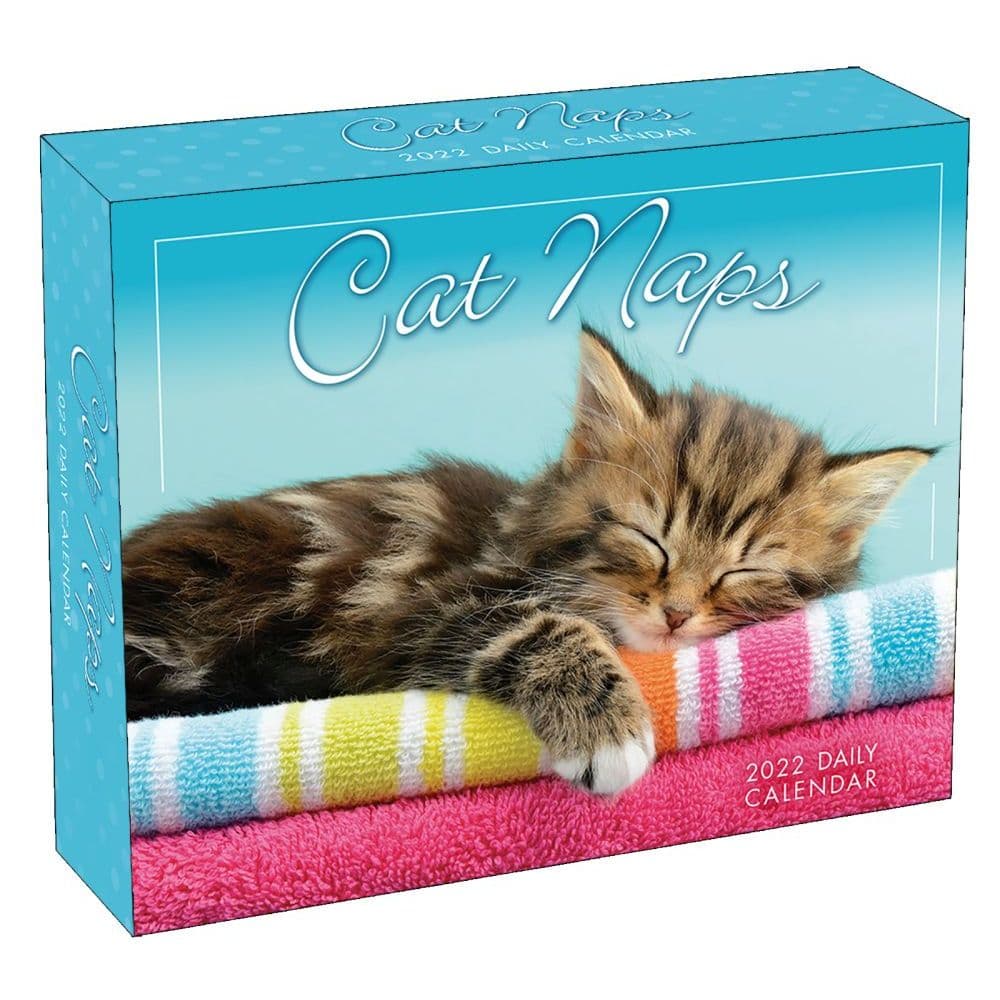Cat Naps 2022 Desk Calendar