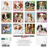 image Just Cavalier King Charles Puppies 2025 Wall Calendar