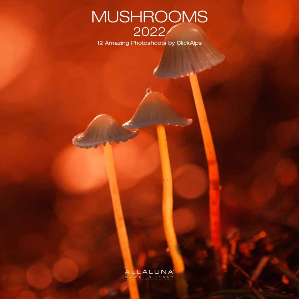 Mushroom Alla Luna 2022 Wall Calendar - Calendars.com