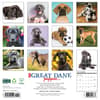 image Great Dane Puppies 2026 Wall Calendar First Alternate Image
