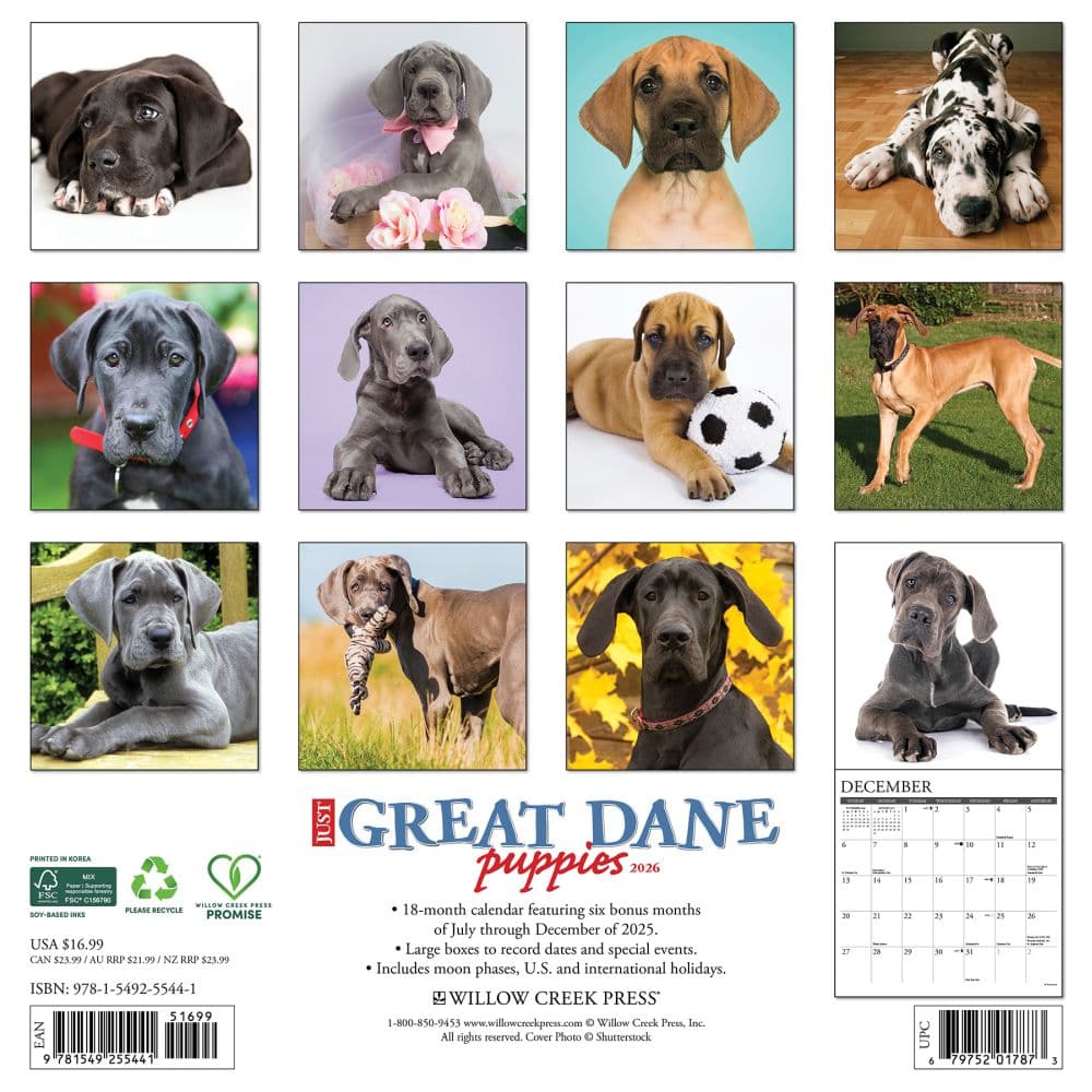 Great Dane Puppies 2026 Wall Calendar First Alternate Image