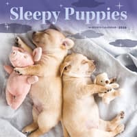 image Pooped Puppies 2026 Mini Wall Calendar Main Image