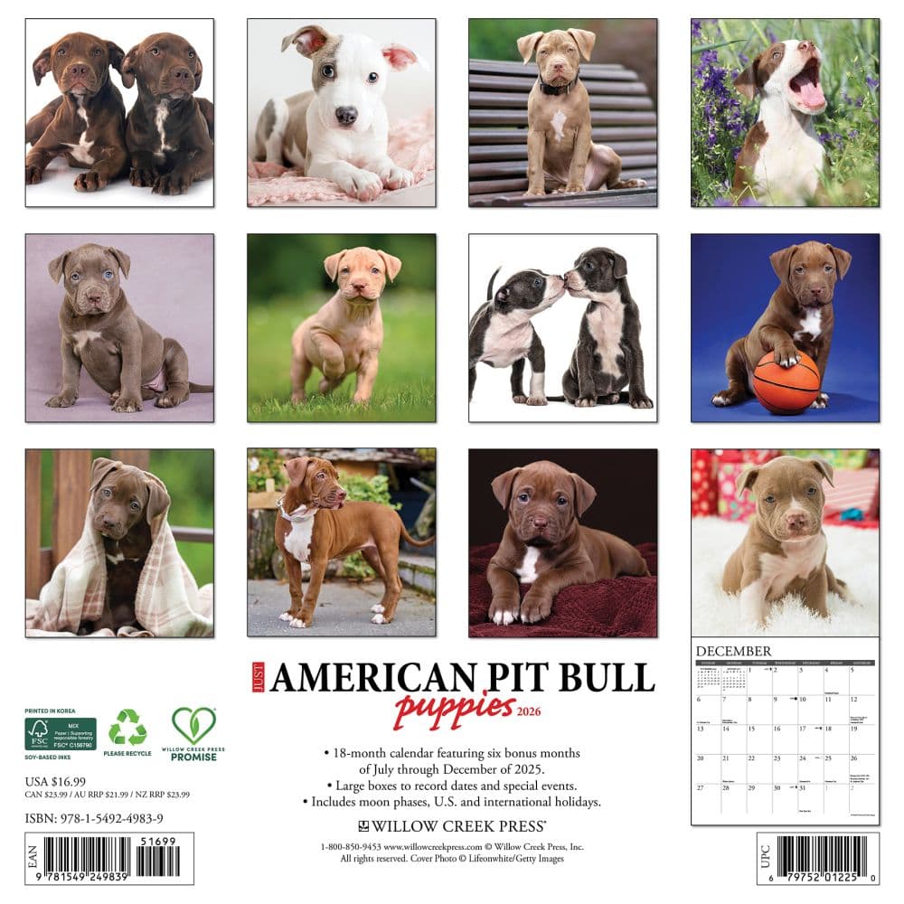 Pit Bull Terrier Puppies Just 2026 Wall Calendar First Alternate Image
