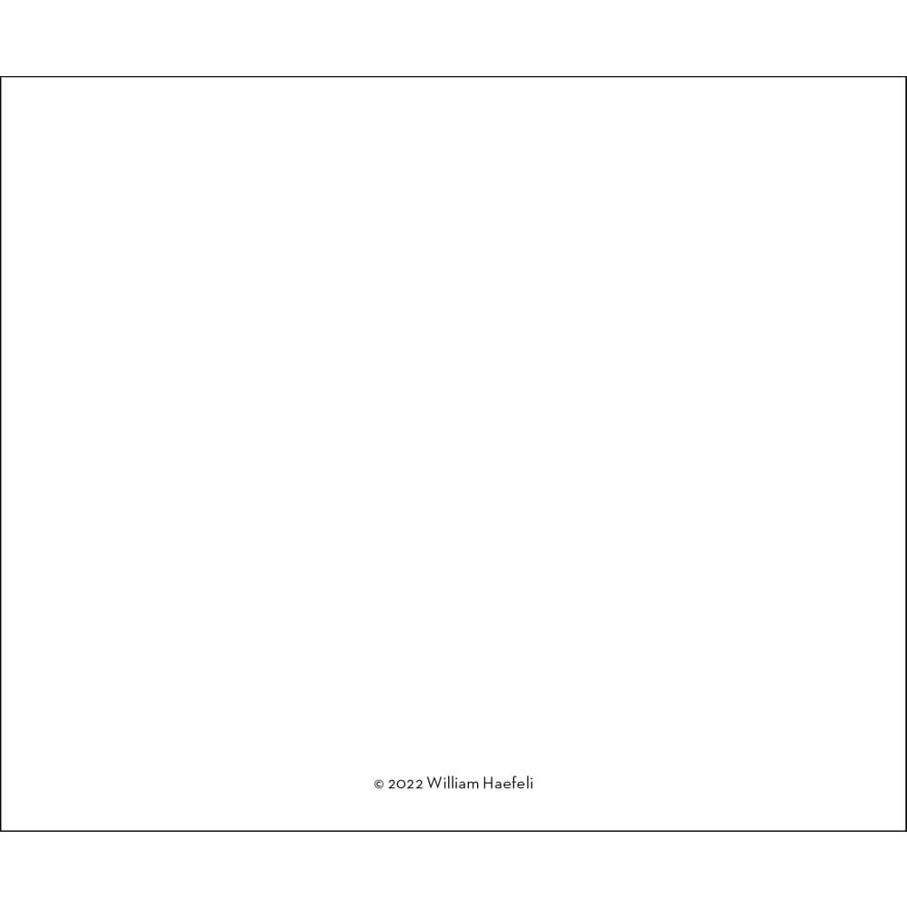New Yorker Cartoons 2025 Desk Calendar