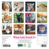 image What Cats Teach Us 2025 Mini Wall Calendar