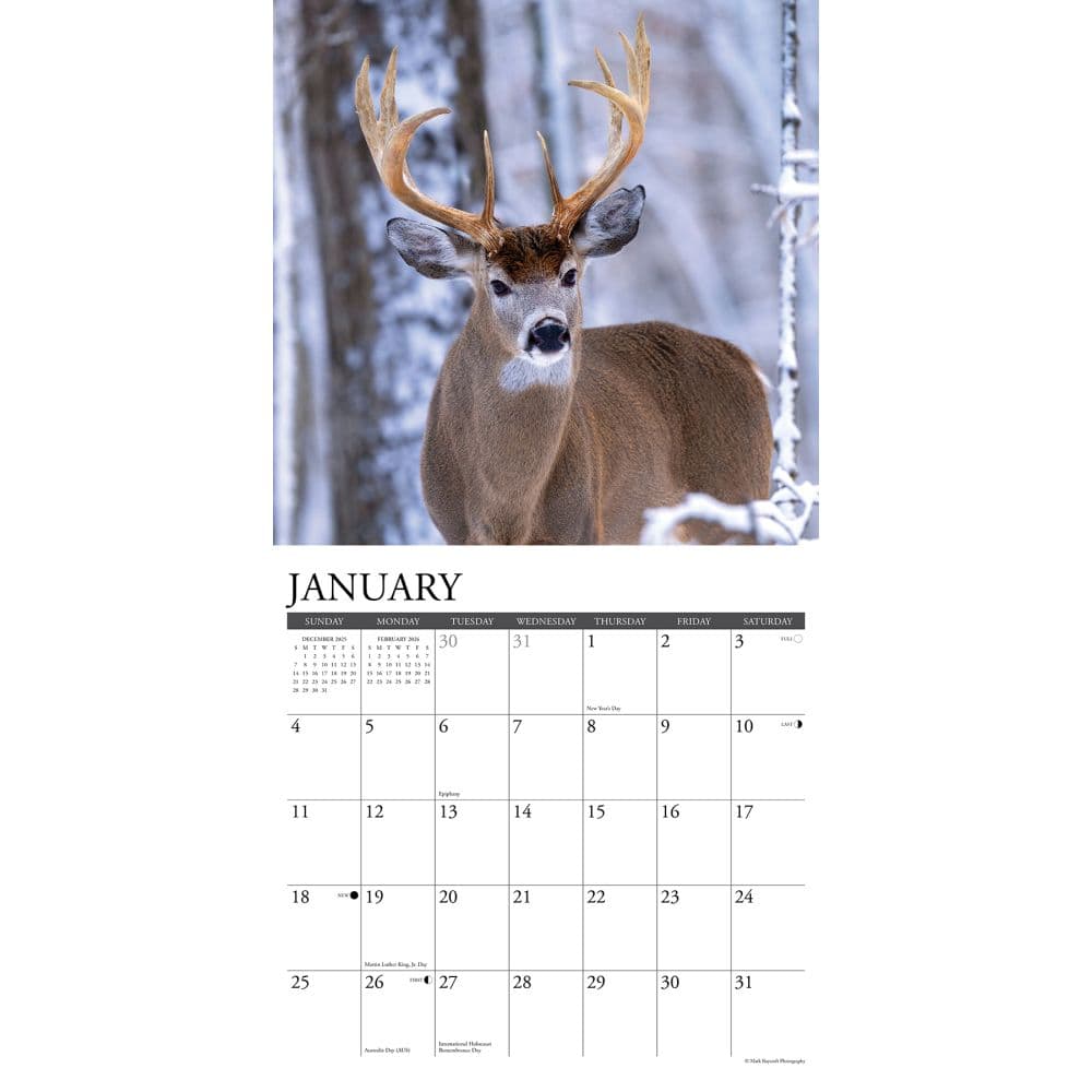 Whitetail Monarchs 2026 Wall Calendar Second Alternate Image
