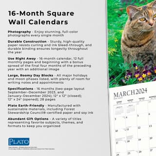 Wall Calendar 2024 - 30 x 29 Cm LOVELY CATS 