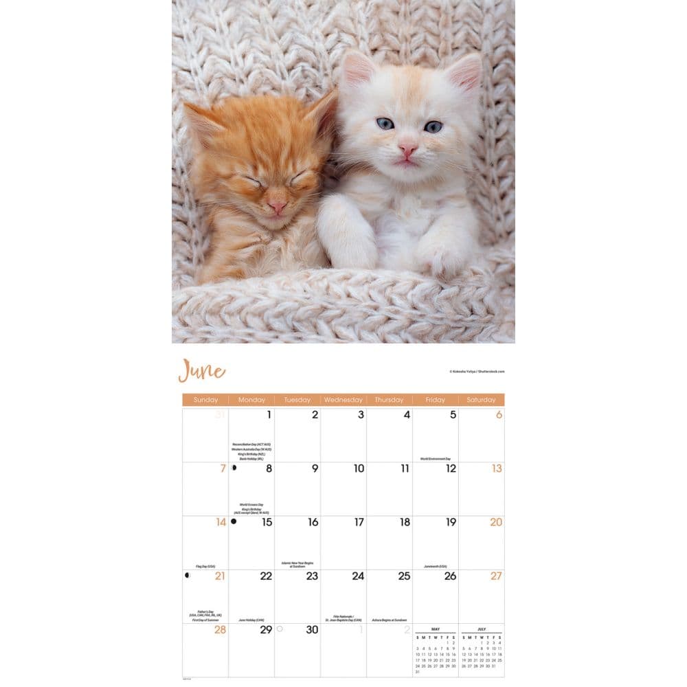 Just Kittens 2026 Wall Calendar Third Alternate Image