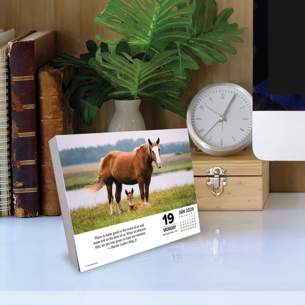 What Horses Teach Us 2026 Desk Calendar Second Alternate Image