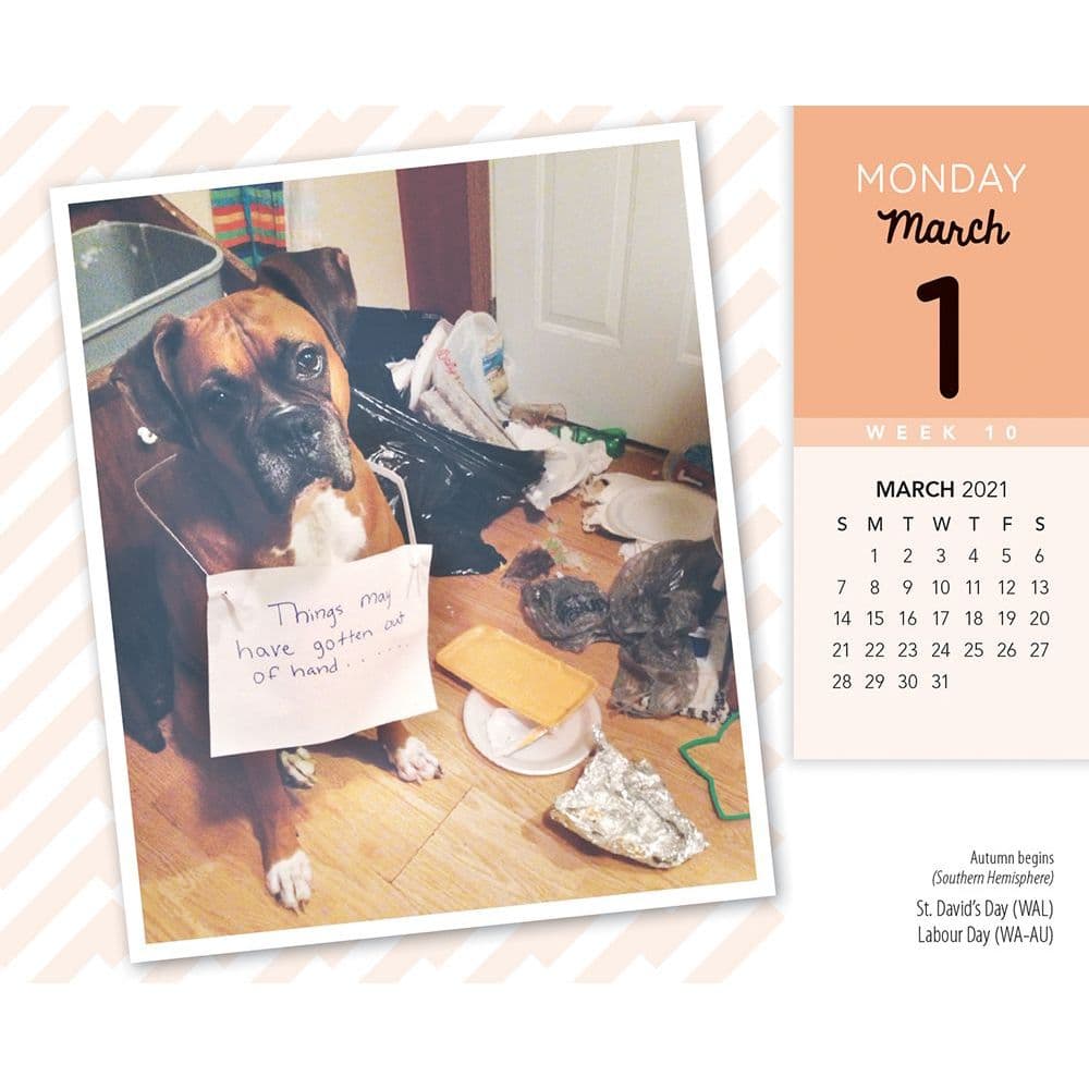 shame-your-pet-desk-calendar-calendars