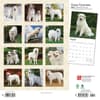 image Great Pyrenees 2024 Wall Calendar First Alternate Image width=&quot;1000&quot; height=&quot;1000&quot;