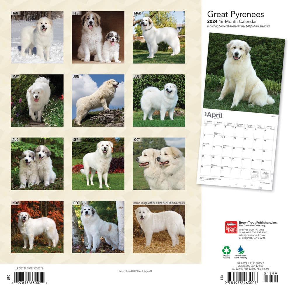 Great Pyrenees 2024 Wall Calendar First Alternate Image width=&quot;1000&quot; height=&quot;1000&quot;