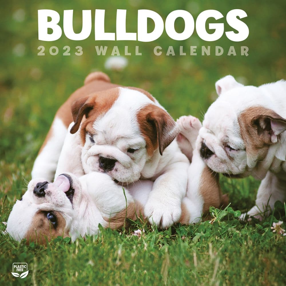 Bulldogs 2023 Wall Calendar