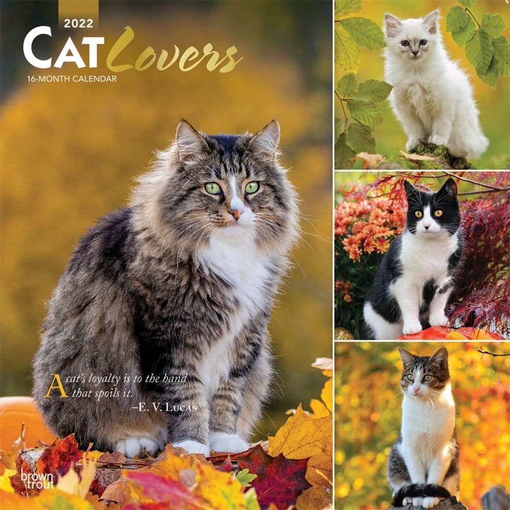 Cat Lovers 2022 Wall Calendar - Calendars.com