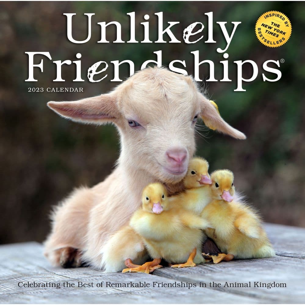 Unlikely Friendships 2023 Wall Calendar - Calendars.com