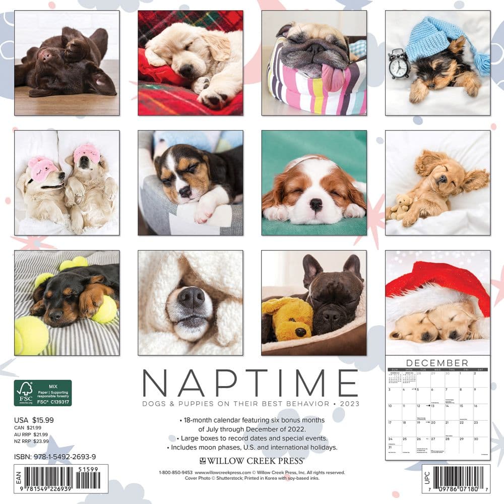 Dog Naps 2023 Wall Calendar - Calendars.com