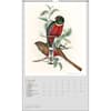 image Goulds Exotic Birds Poster 2025 Wall Calendar Third Alternate Image width="1000" height="1000"