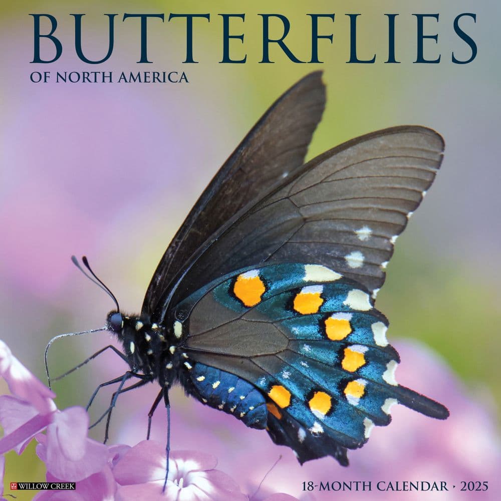 Butterflies 2025 Wall Calendar