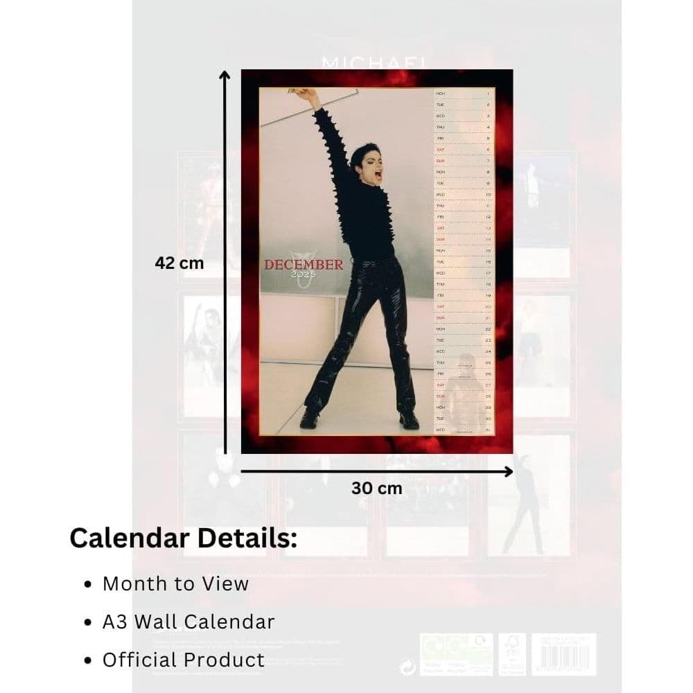 Michael Jackson Poster 2025 Wall Calendar Fifth Alternate Image