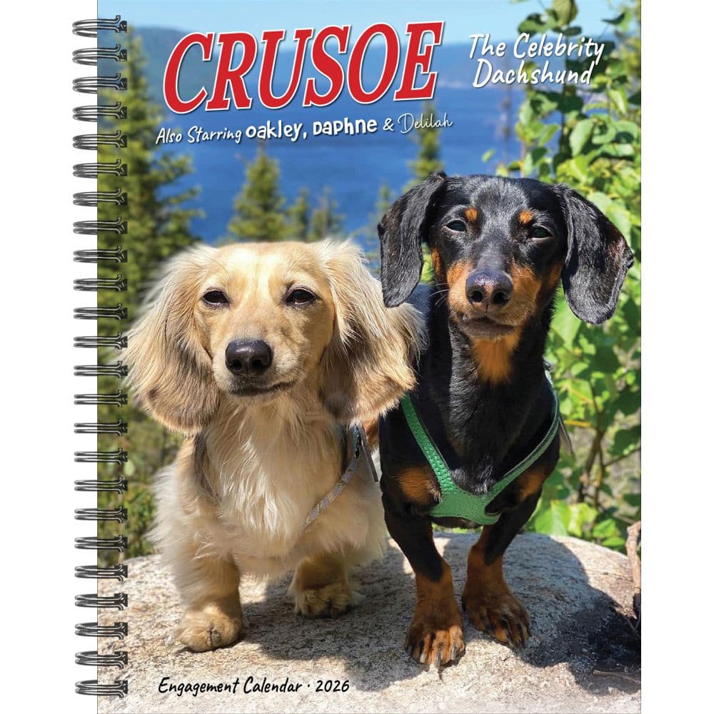 Crusoe The Celebrity Dachshund 2026 Engagement Planner Main Image