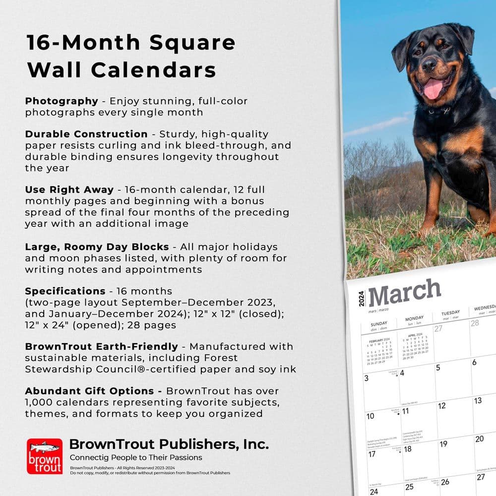Rottweilers 2024 Wall Calendar Fourth Alternate Image width=&quot;1000&quot; height=&quot;1000&quot;
