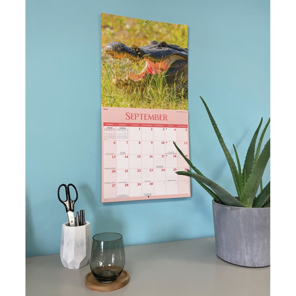 Wildlife Special Value 2026 Wall Calendar Fifth Alternate Image