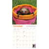 image Hangin With Sloths 2025 Wall Calendar Third Alternate Image width="1000" height="1000"