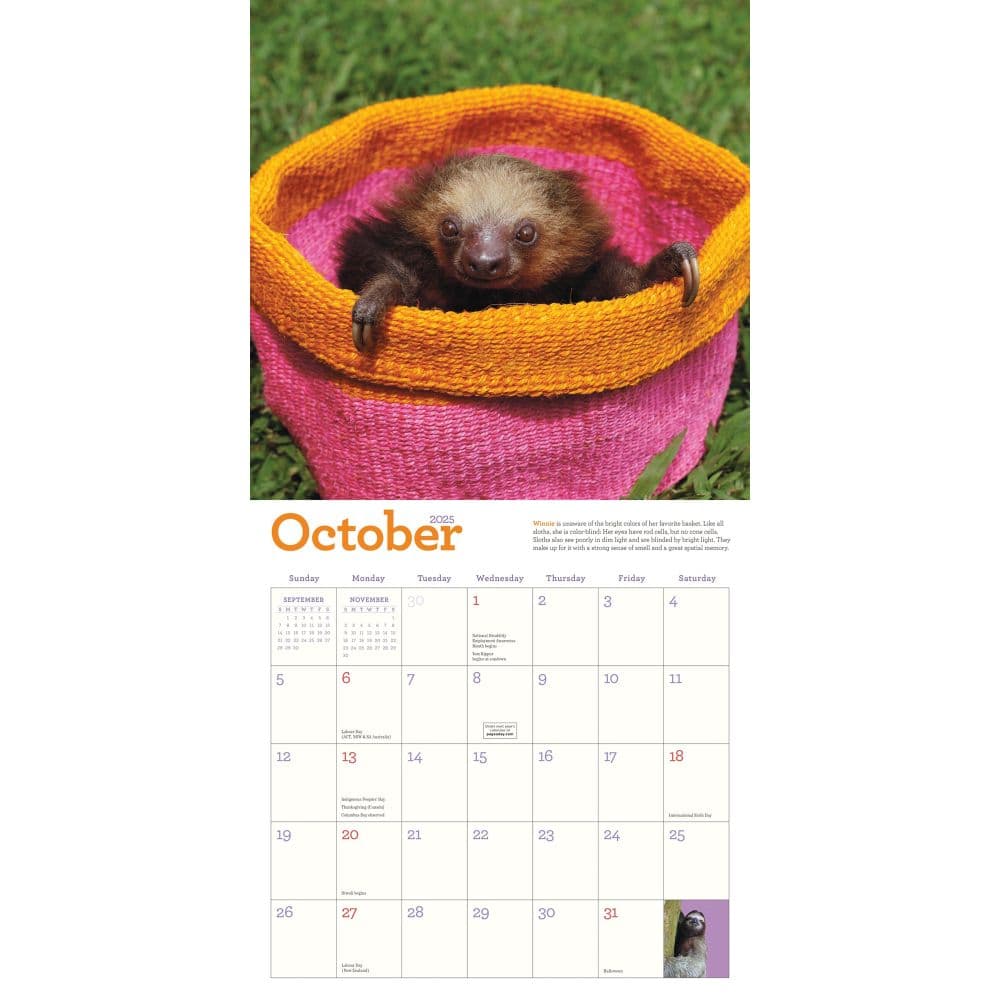 Hangin With Sloths 2025 Wall Calendar Third Alternate Image width="1000" height="1000"