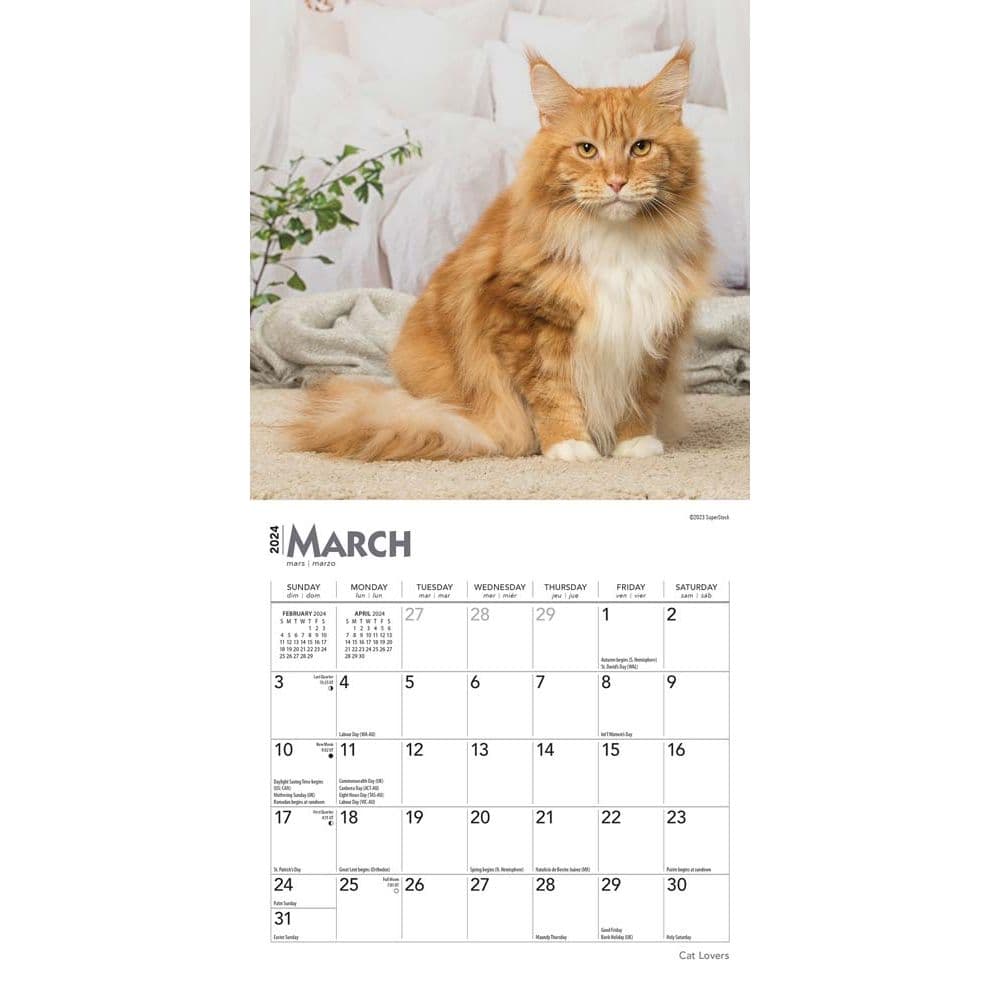 Cats 2024 Mini Wall Calendar Second Alternate Image width=&quot;1000&quot; height=&quot;1000&quot;