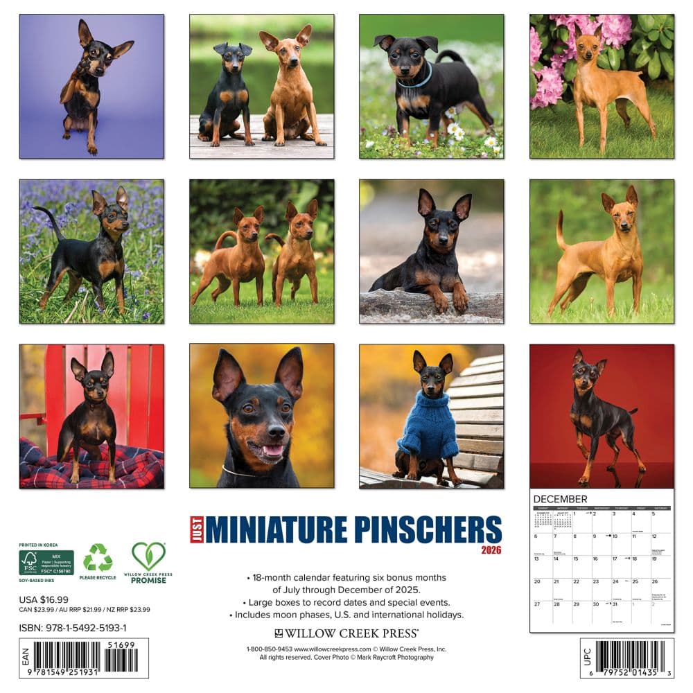 Just Miniature Pinschers 2026 Wall Calendar First Alternate Image