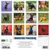 image Just Miniature Pinschers 2026 Wall Calendar First Alternate Image