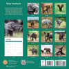 image Baby Elephants 2024 Wall Calendar First Alternate Image width=&quot;1000&quot; height=&quot;1000&quot;