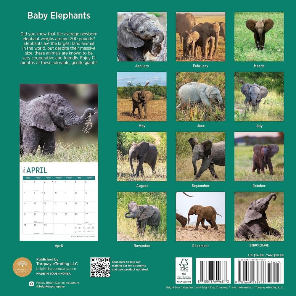 Baby Elephants 2024 Wall Calendar First Alternate Image width=&quot;1000&quot; height=&quot;1000&quot;