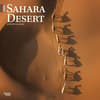 image Sahara Desert 2024 Wall Calendar Main Product Image width=&quot;1000&quot; height=&quot;1000&quot;