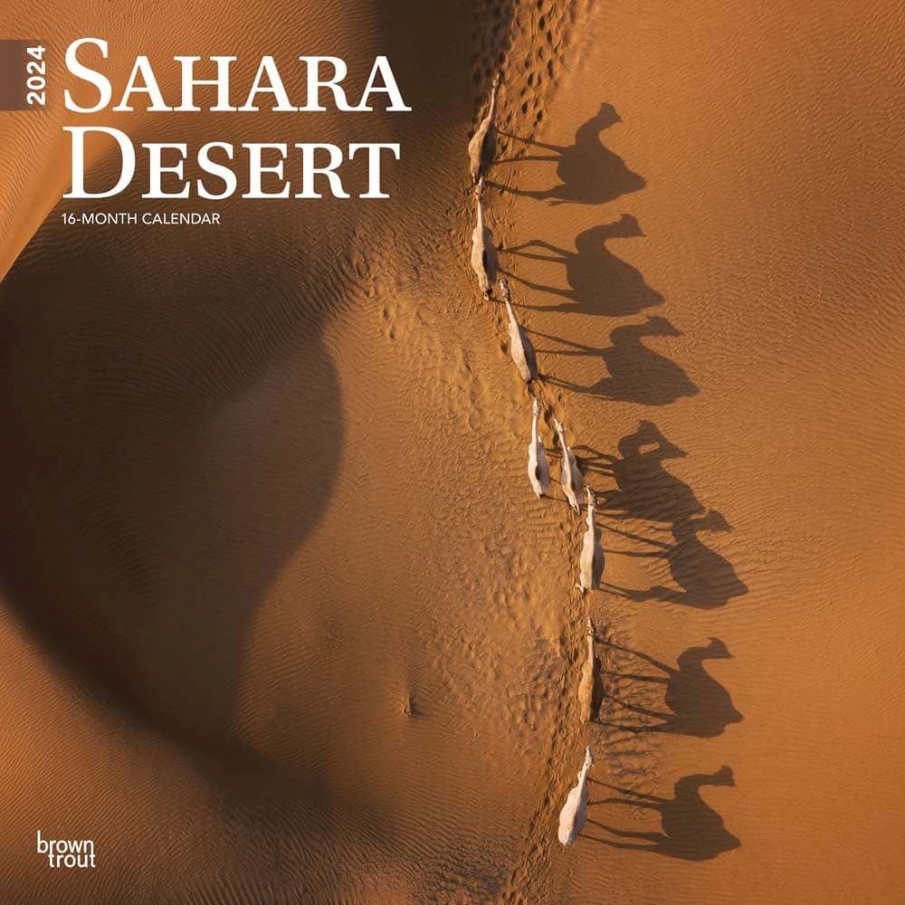 Sahara Desert 2024 Wall Calendar Main Product Image width=&quot;1000&quot; height=&quot;1000&quot;