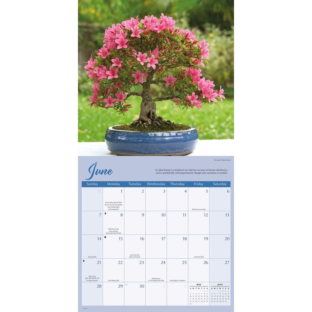 Bonsai 2026 Wall Calendar Third Alternate Image