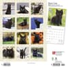 image Black Cats 2024 Wall Calendar Alternate Image 1