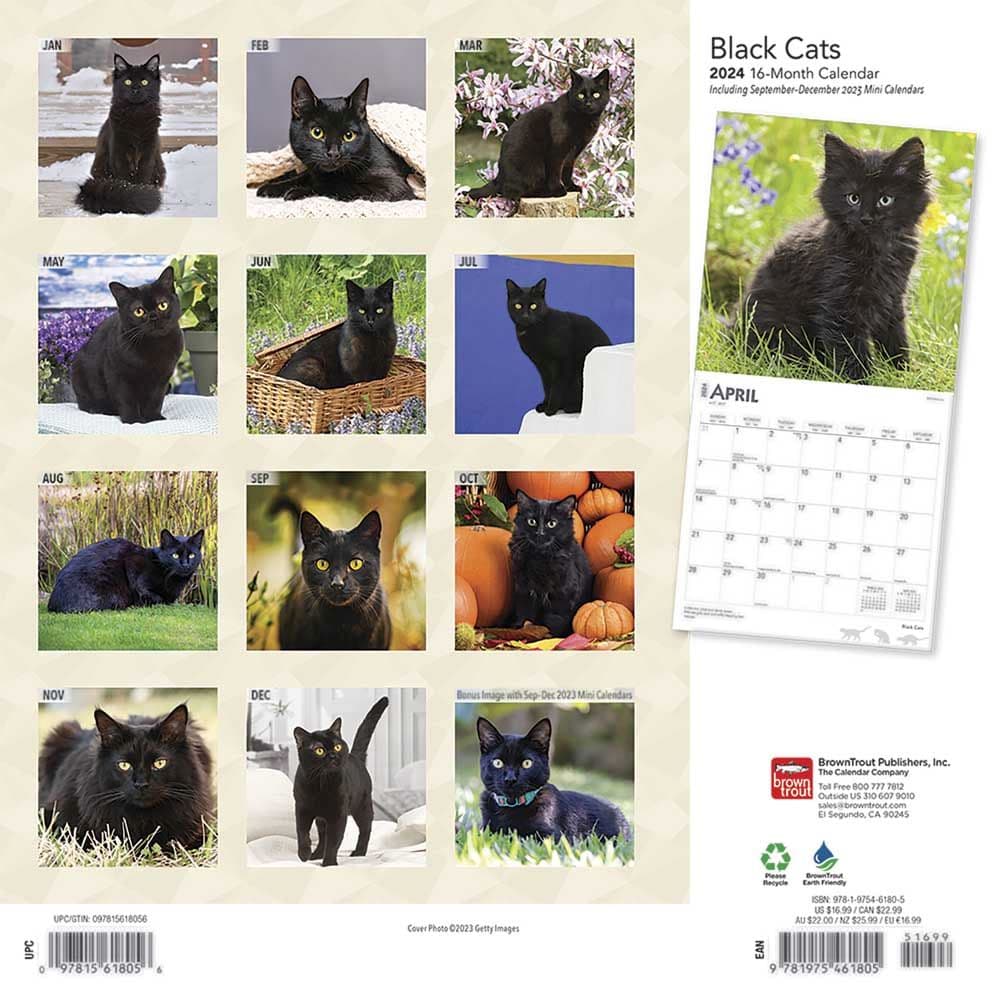 Black Cats 2024 Wall Calendar Alternate Image 1