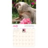 image Sloths 2027 Mini Wall Calendar Third Alternate Image