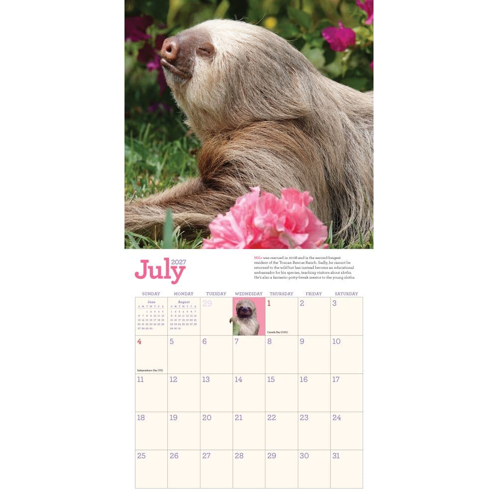 Sloths 2027 Mini Wall Calendar Third Alternate Image