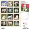 image Samoyeds 2024 Wall Calendar First Alternate Image width=&quot;1000&quot; height=&quot;1000&quot;